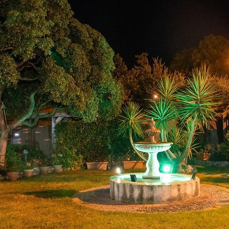 B&B Villagus Praia a Mare Dış mekan fotoğraf
